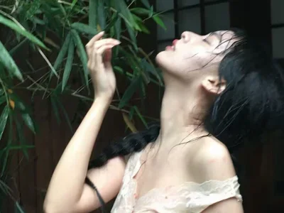Profile preview